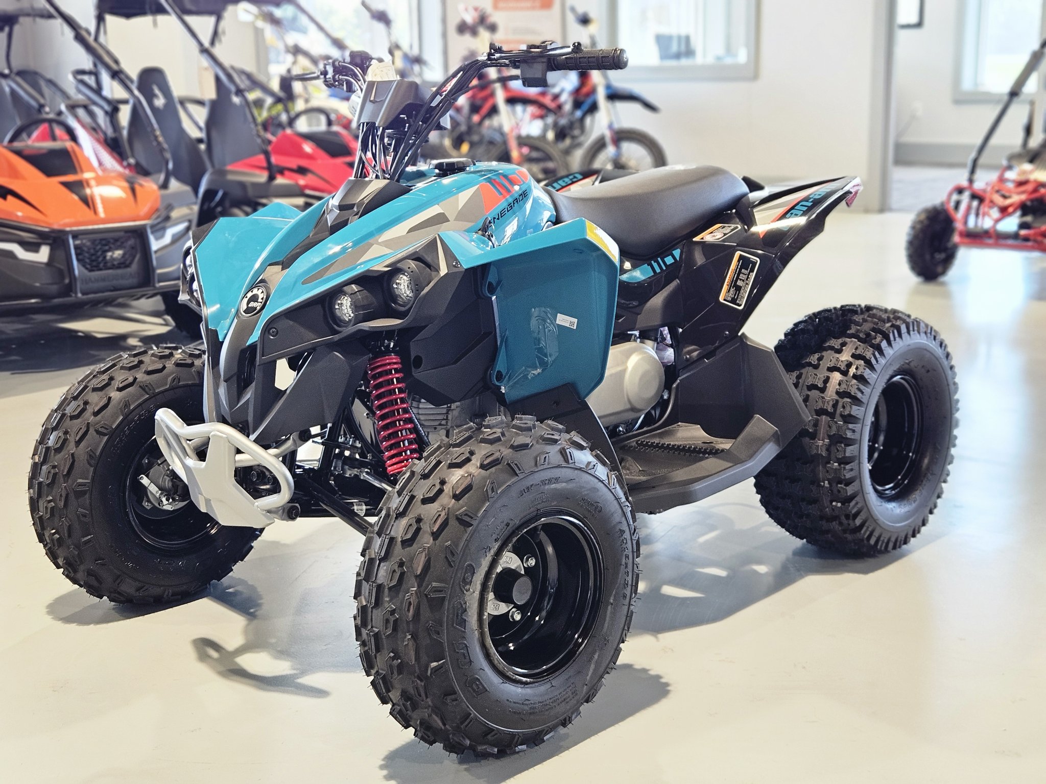 2026 Can-Am Renegade 110 EFI