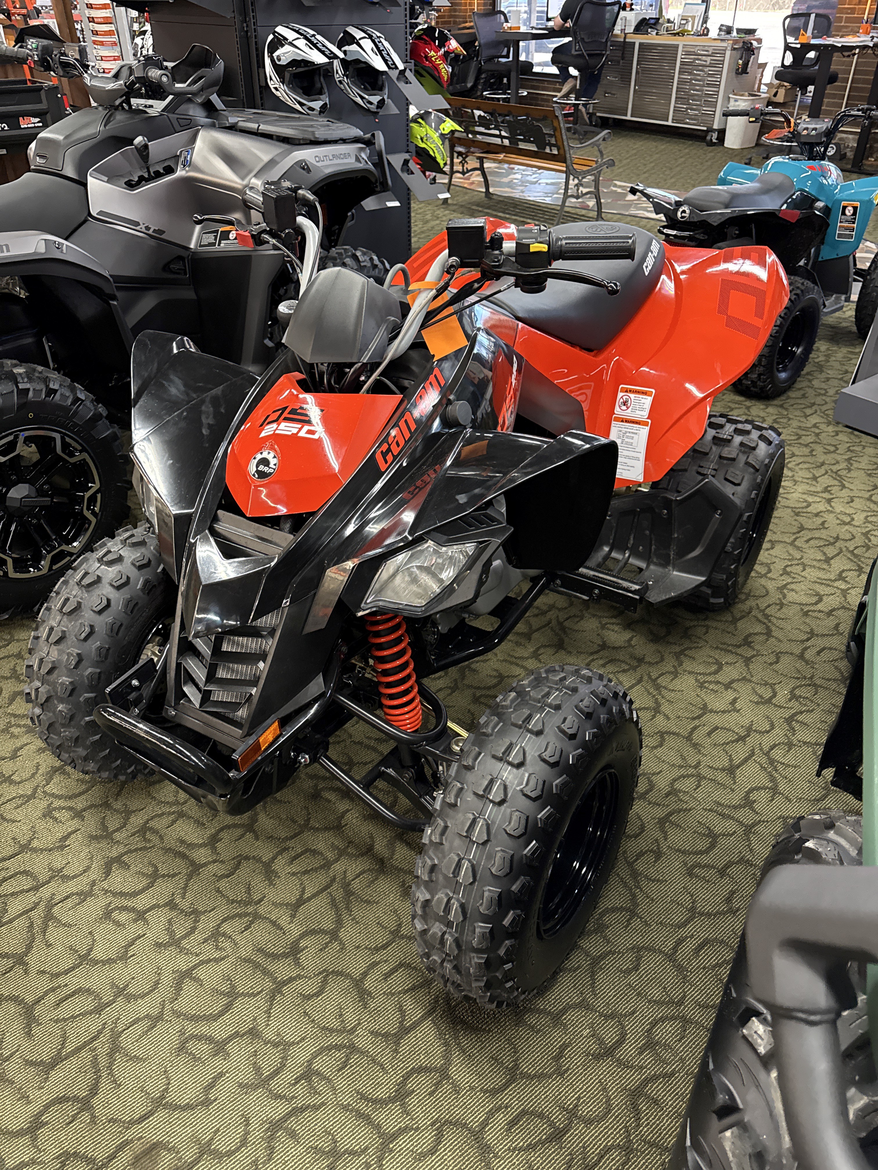 2026 Can-Am DS 250 for sale 1038220