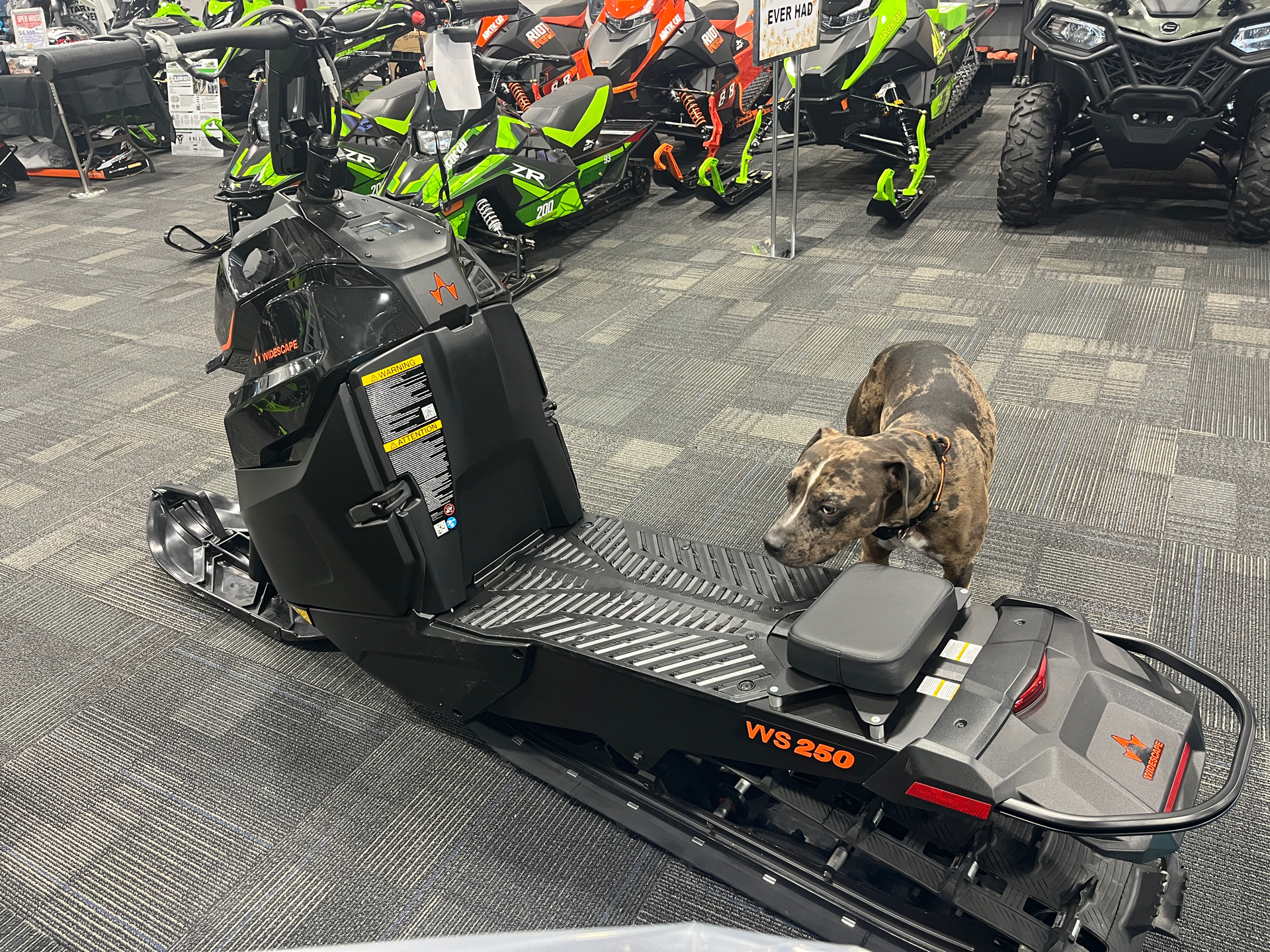 New 2024 Widescape WS250 | Snowmobiles in Bismarck ND | 03415 Black
