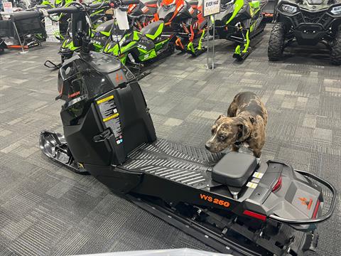 New 2024 Widescape WS250 | Snowmobiles in Bismarck ND | 03415 Black