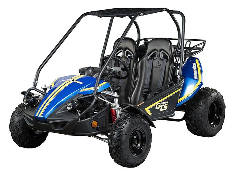 New 2021 Hammerhead Off-Road GTS 150 | Go-Karts in Richmond VA | Blue