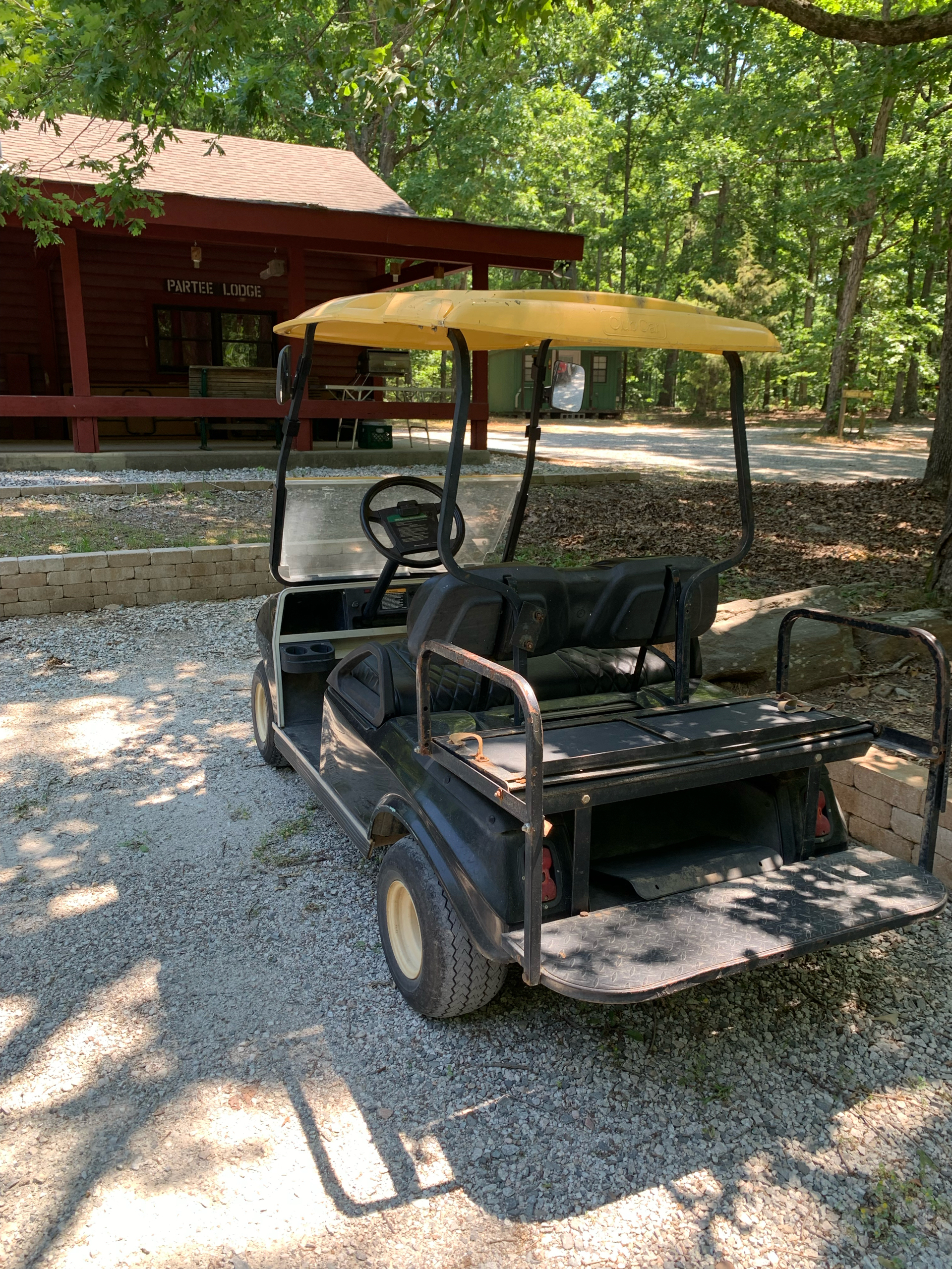 2008 Club Car DS photo 3