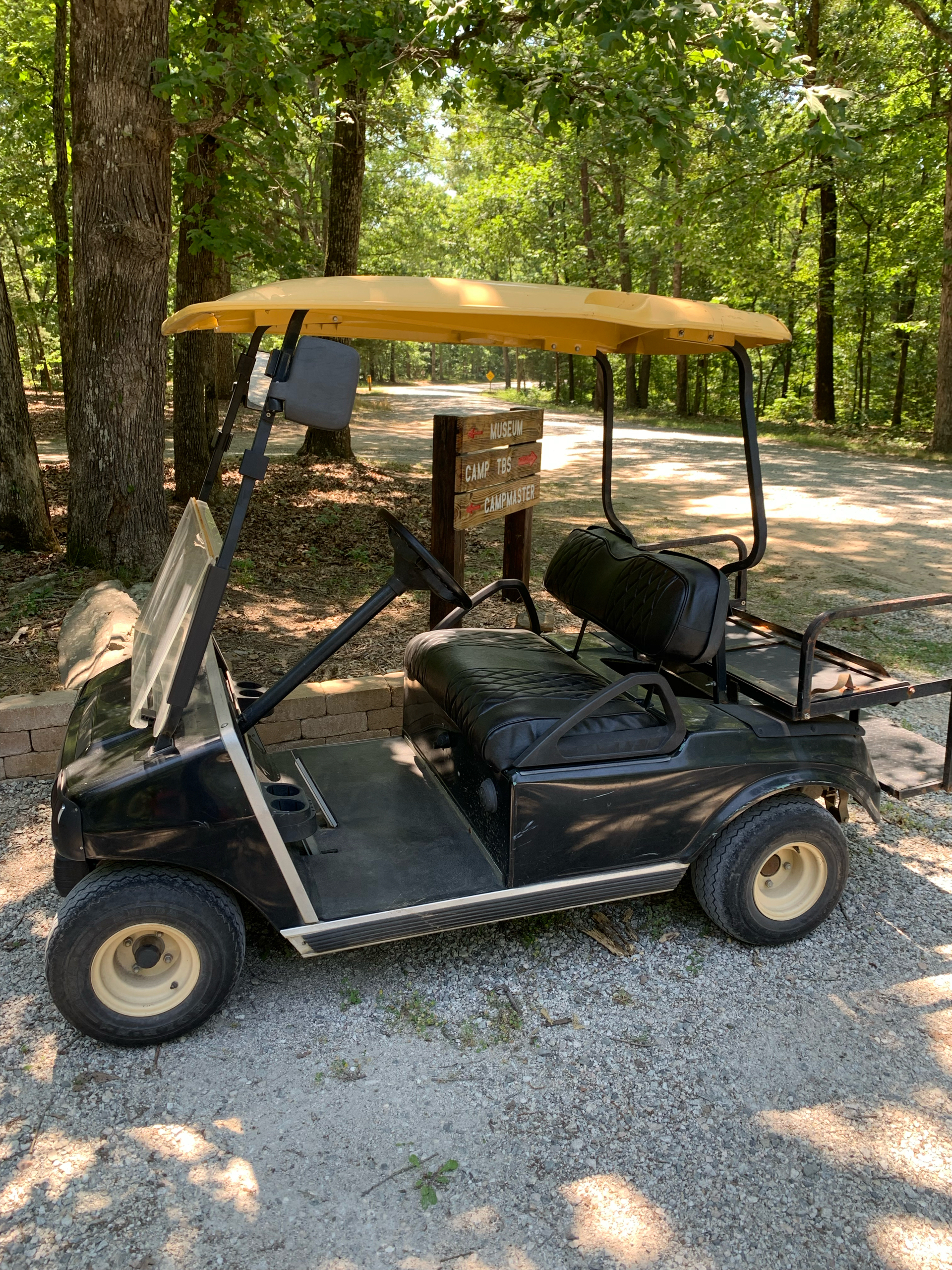 2008 Club Car DS photo 4