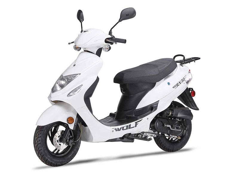 New 2021 Wolf Brand Scooters Wolf RX-50 | Scooters in Richmond VA