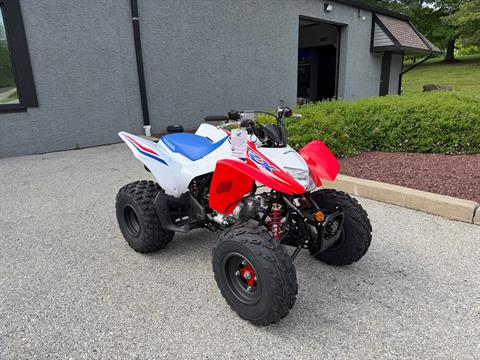 2026 Honda TRX250X, Honey Brook PA | New ATVs for Sale: Specs