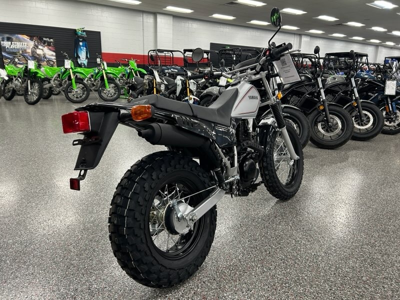 2027 Yamaha TW200 2