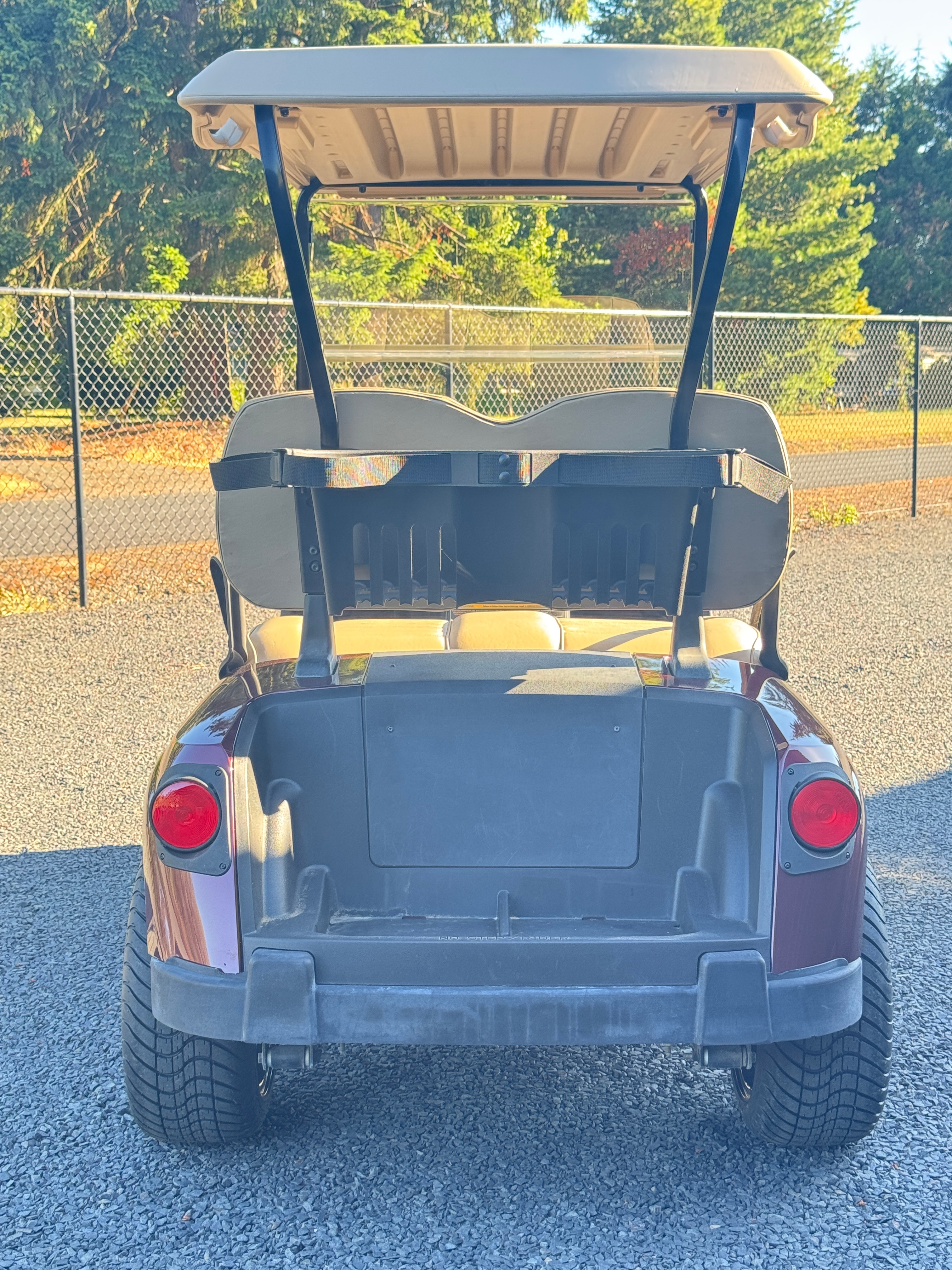 2020 E-Z-GO Freedom RXV Elite — photo 4