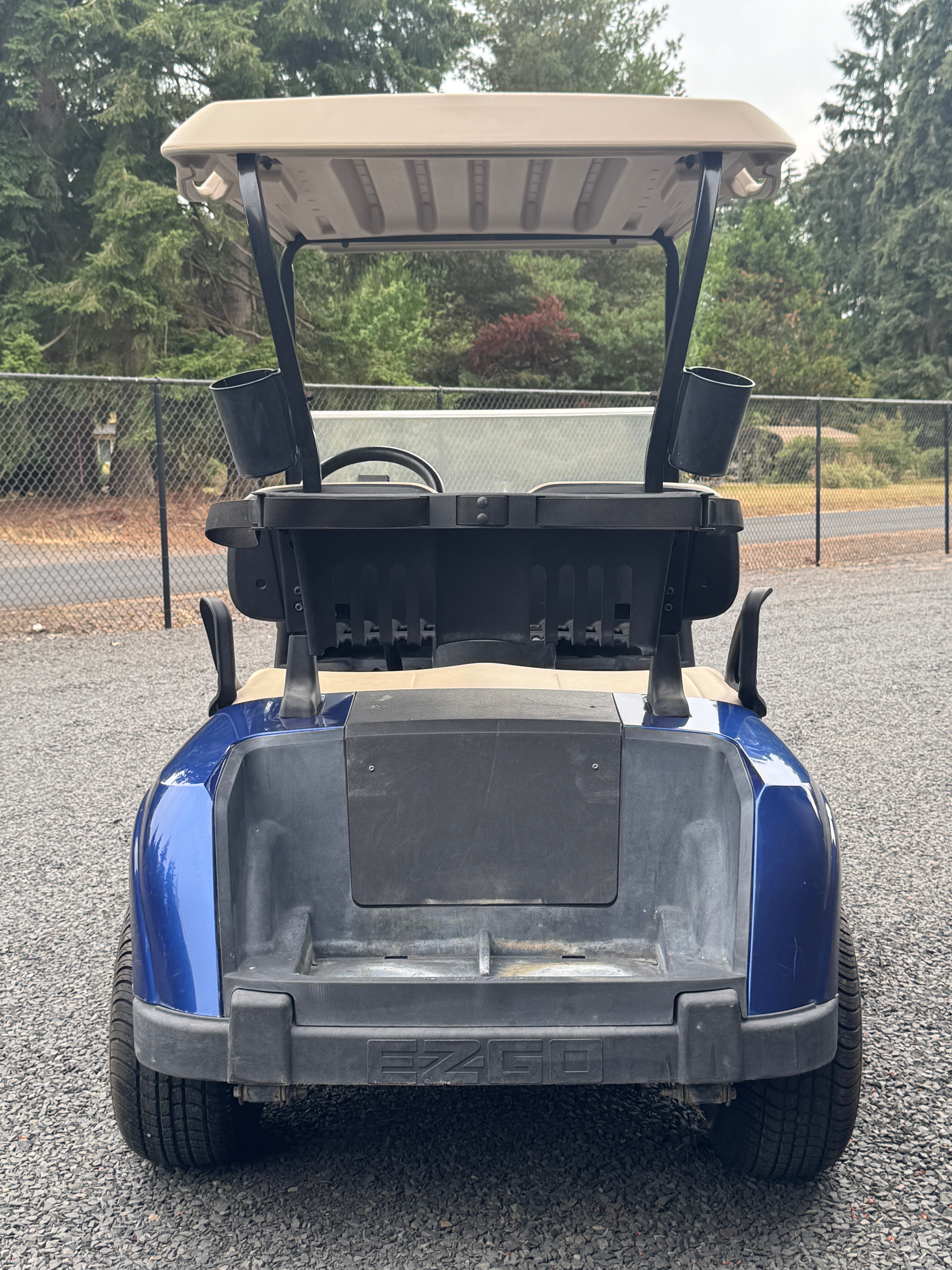 2018 E-Z-GO Freedom RXV 48V Electric Golf Cart — photo 4