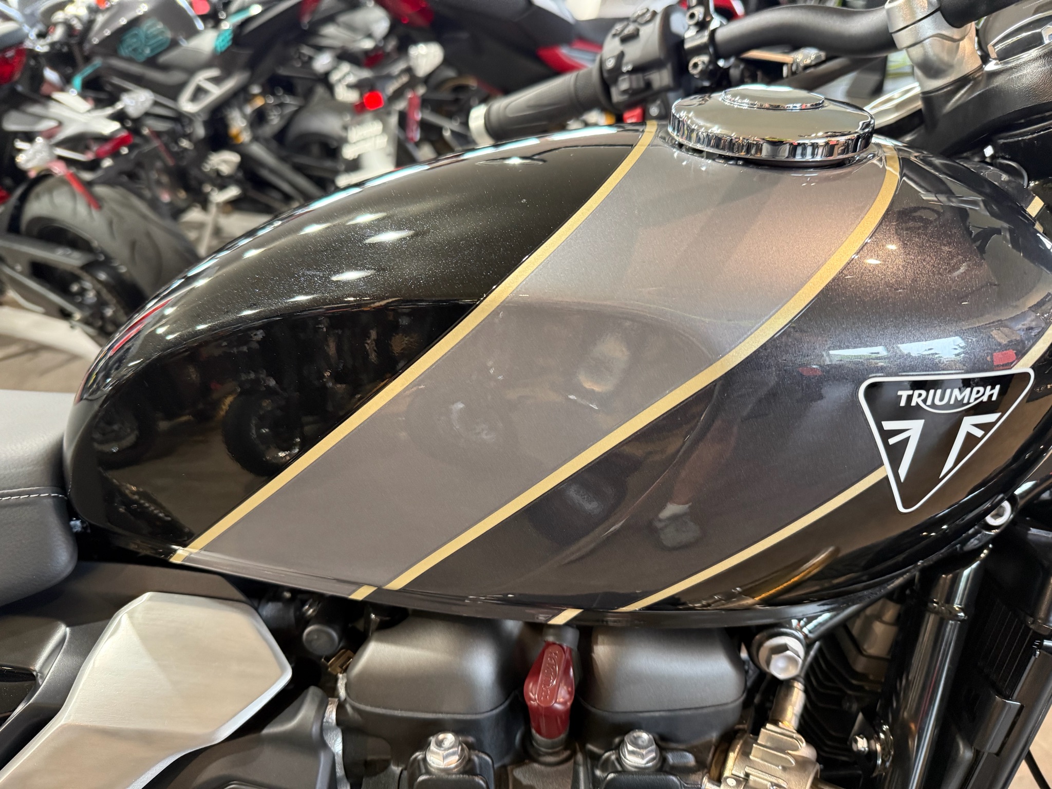 2026 Triumph Speed Twin 900 2