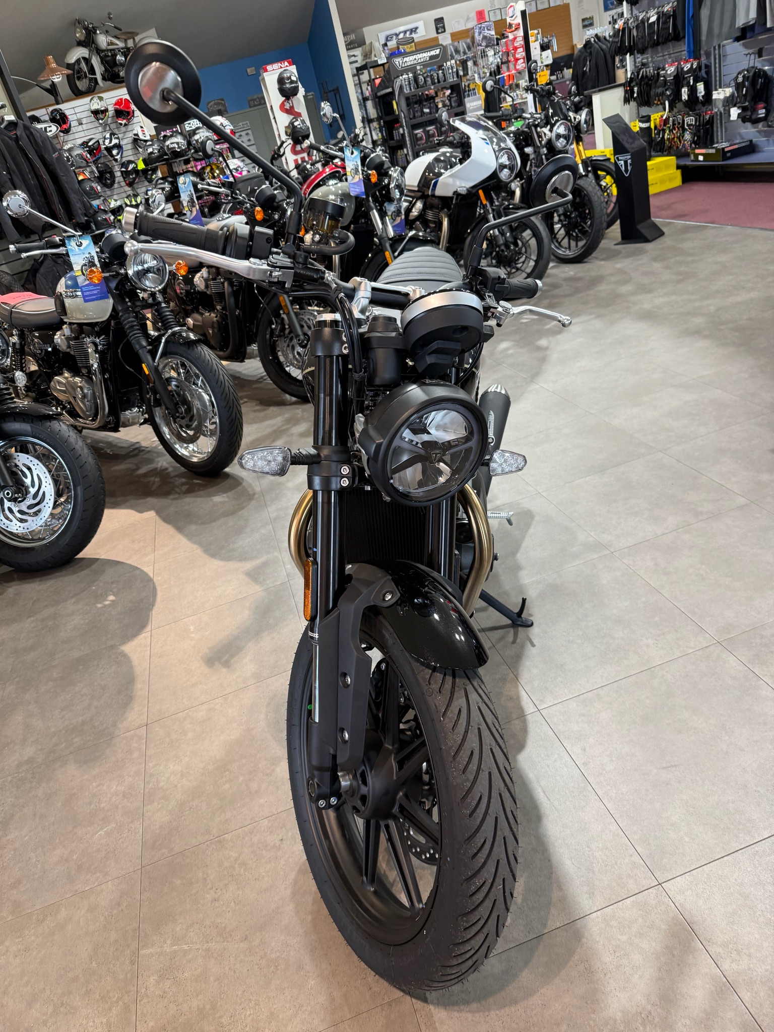 2026 Triumph Speed Twin 900 6