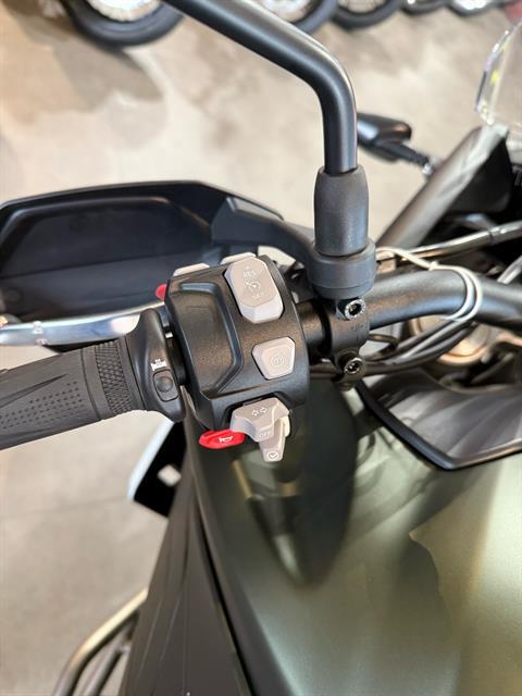 2025 Triumph Tiger 900 Rally Pro in Belle Plaine, Minnesota - Photo 2