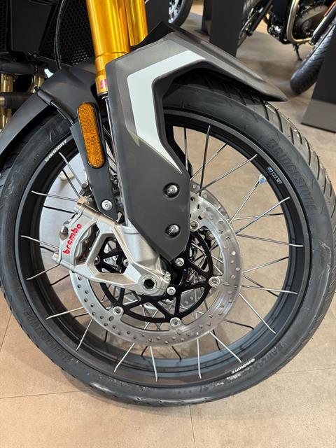 2025 Triumph Tiger 900 Rally Pro in Belle Plaine, Minnesota - Photo 9