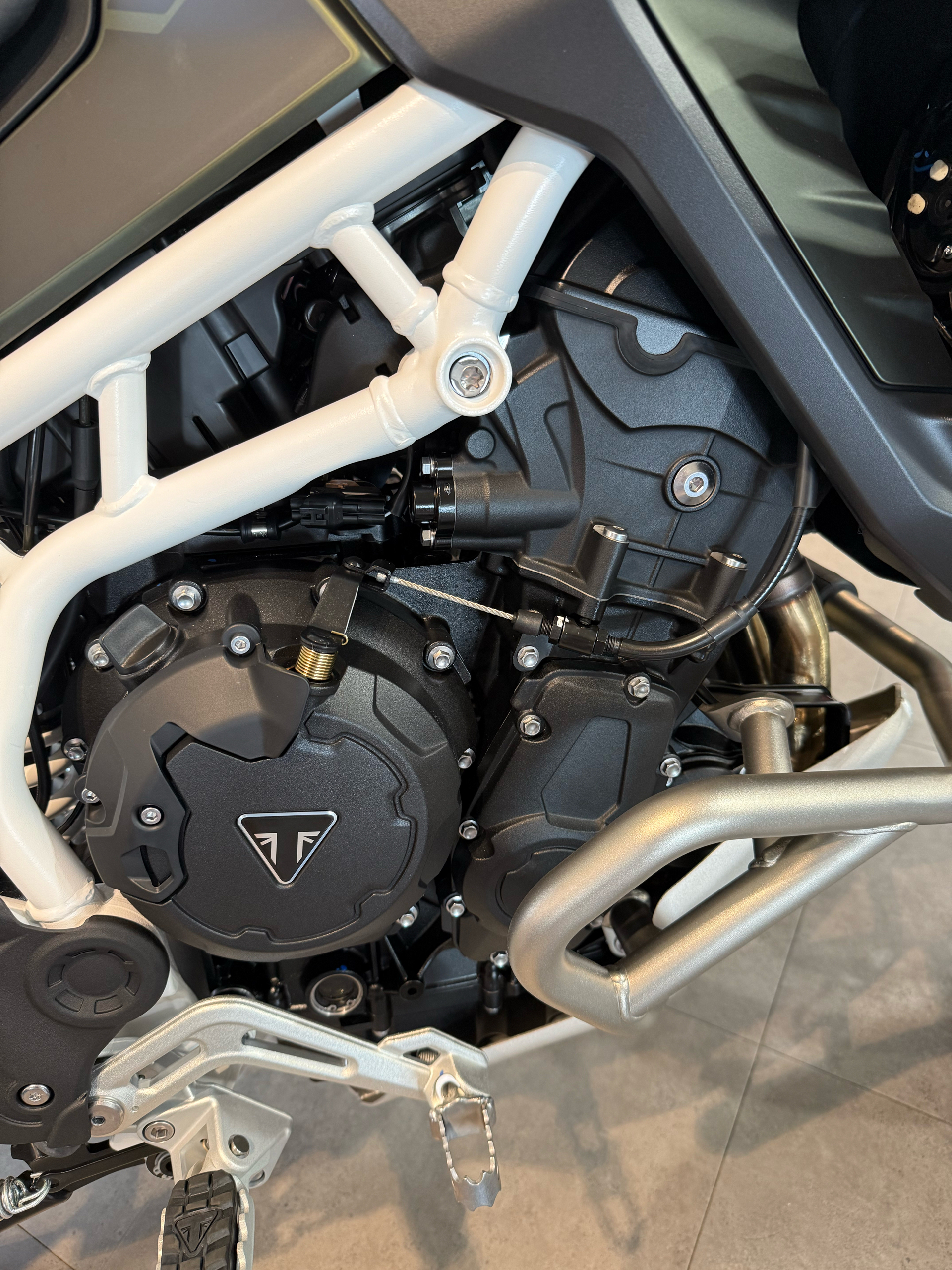 2025 Triumph Tiger 900 Rally Pro in Belle Plaine, Minnesota - Photo 12