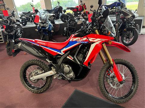 2024 Honda CRF300L Rally in Belle Plaine, Minnesota
