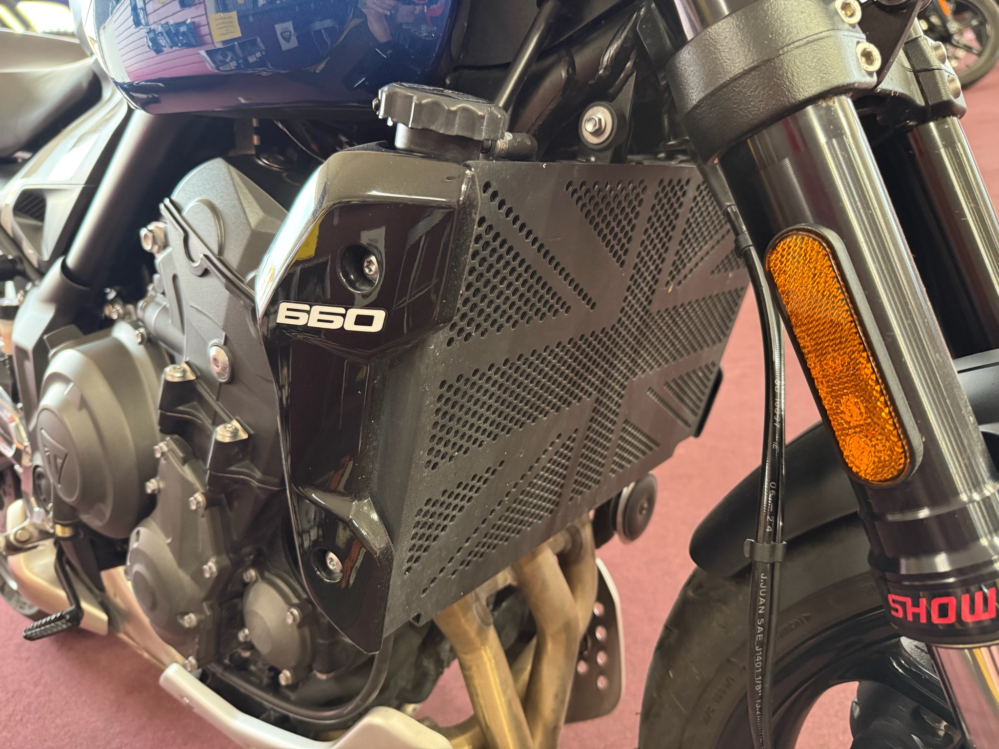 2025 Triumph Trident 660 6