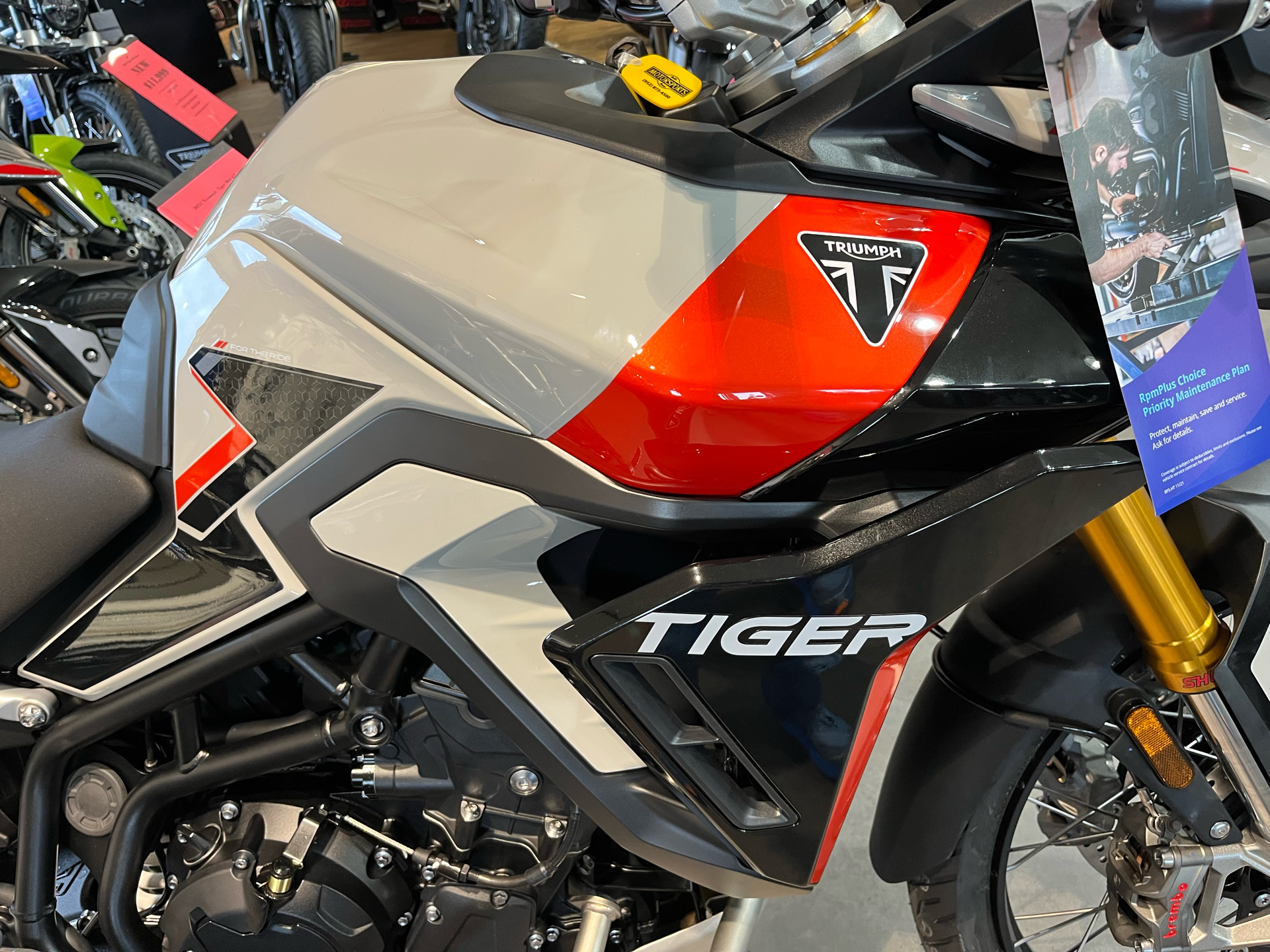 2025 Triumph Tiger 900 Rally Pro in Belle Plaine, Minnesota - Photo 9