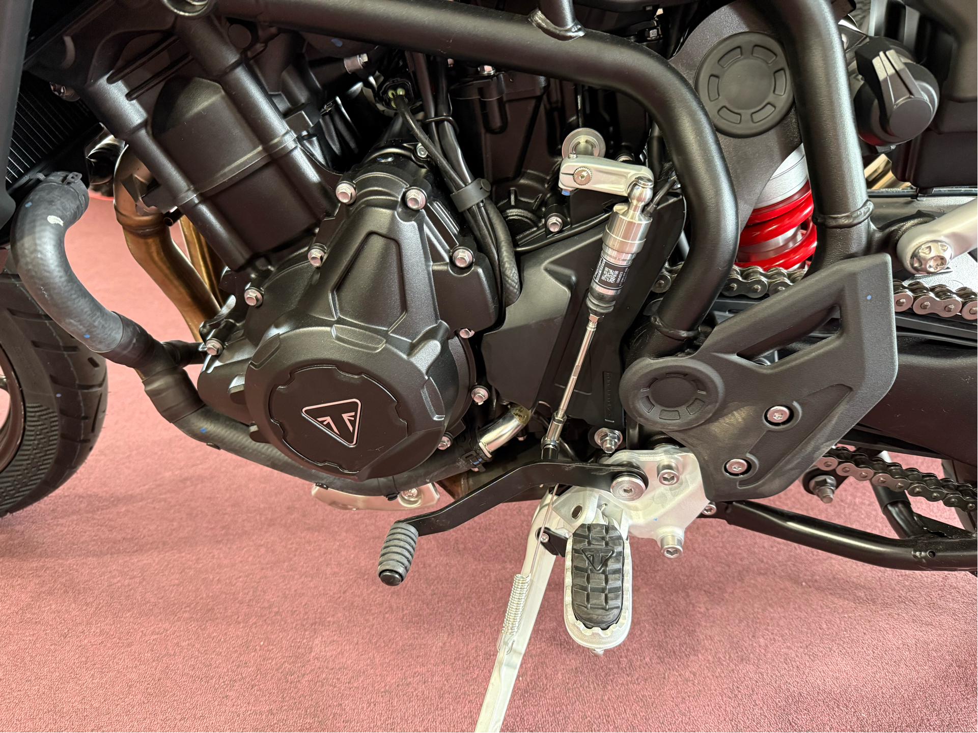 2024 Triumph Tiger 900 GT Pro in Belle Plaine, Minnesota - Photo 8