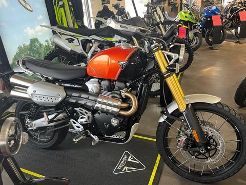 2025 Triumph Scrambler 1200 XE in Belle Plaine, Minnesota