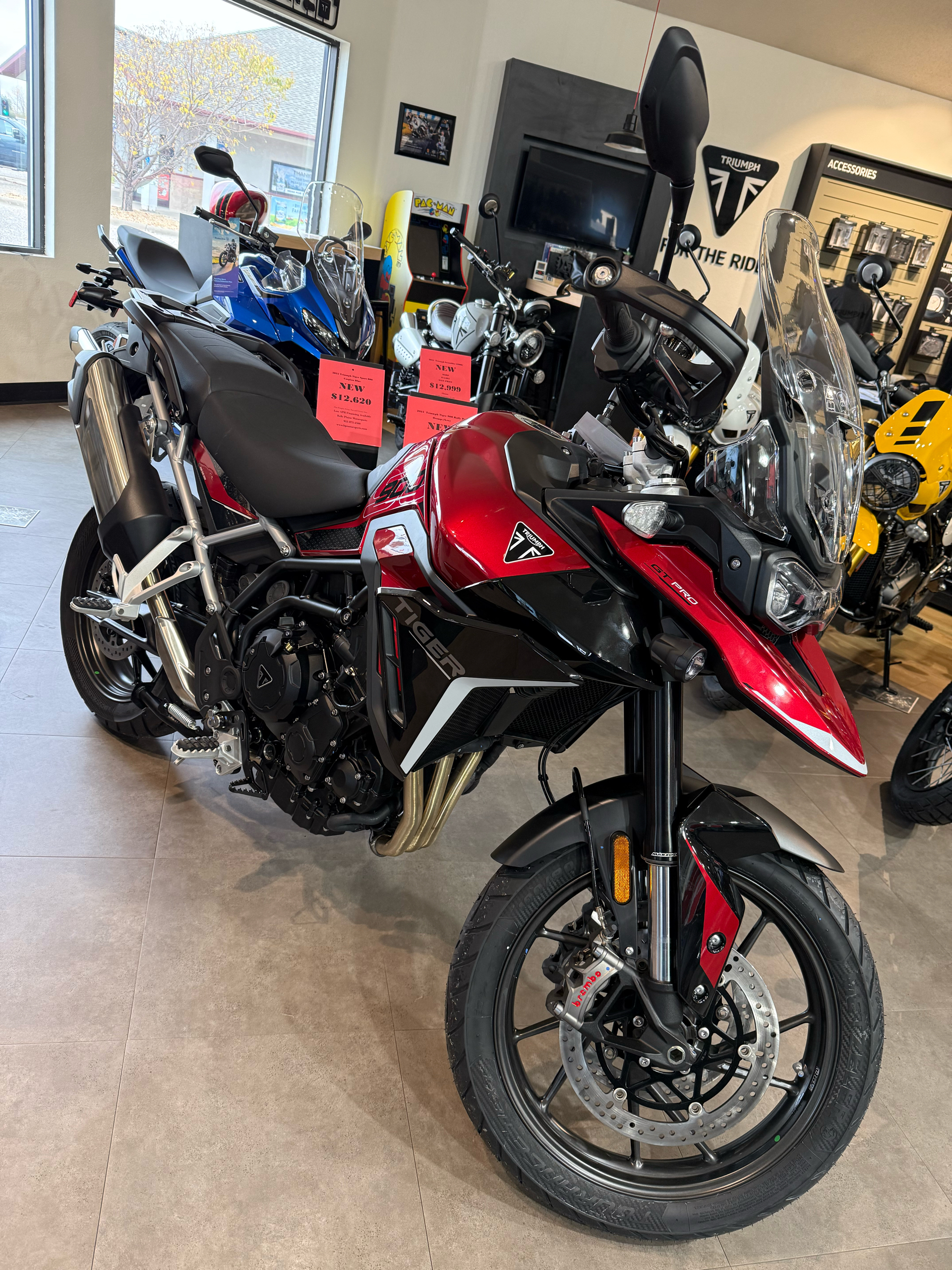 2025 Triumph Tiger 900 GT Pro in Belle Plaine, Minnesota - Photo 1