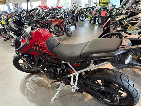 2025 Triumph Tiger 900 GT Pro in Belle Plaine, Minnesota - Photo 7