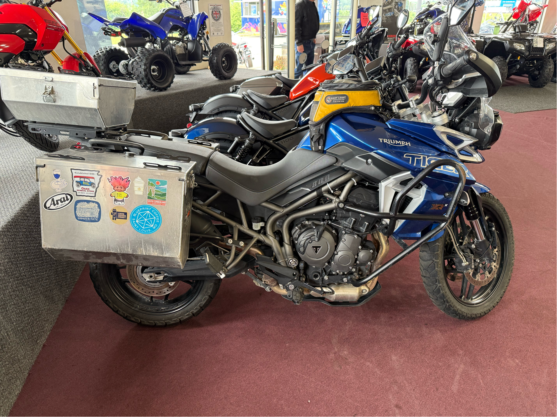 2019 Triumph Tiger 800 XRx Low in Belle Plaine, Minnesota - Photo 1