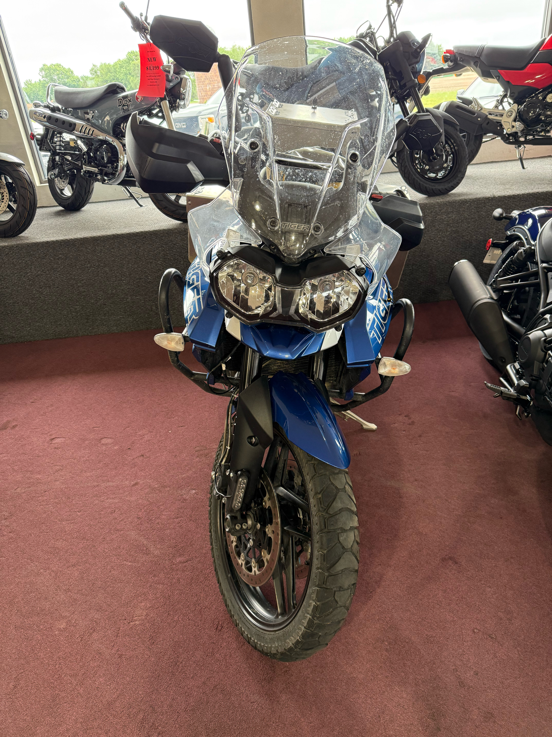 2019 Triumph Tiger 800 XRx Low in Belle Plaine, Minnesota - Photo 3