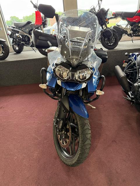 2019 Triumph Tiger 800 XRx Low in Belle Plaine, Minnesota - Photo 3