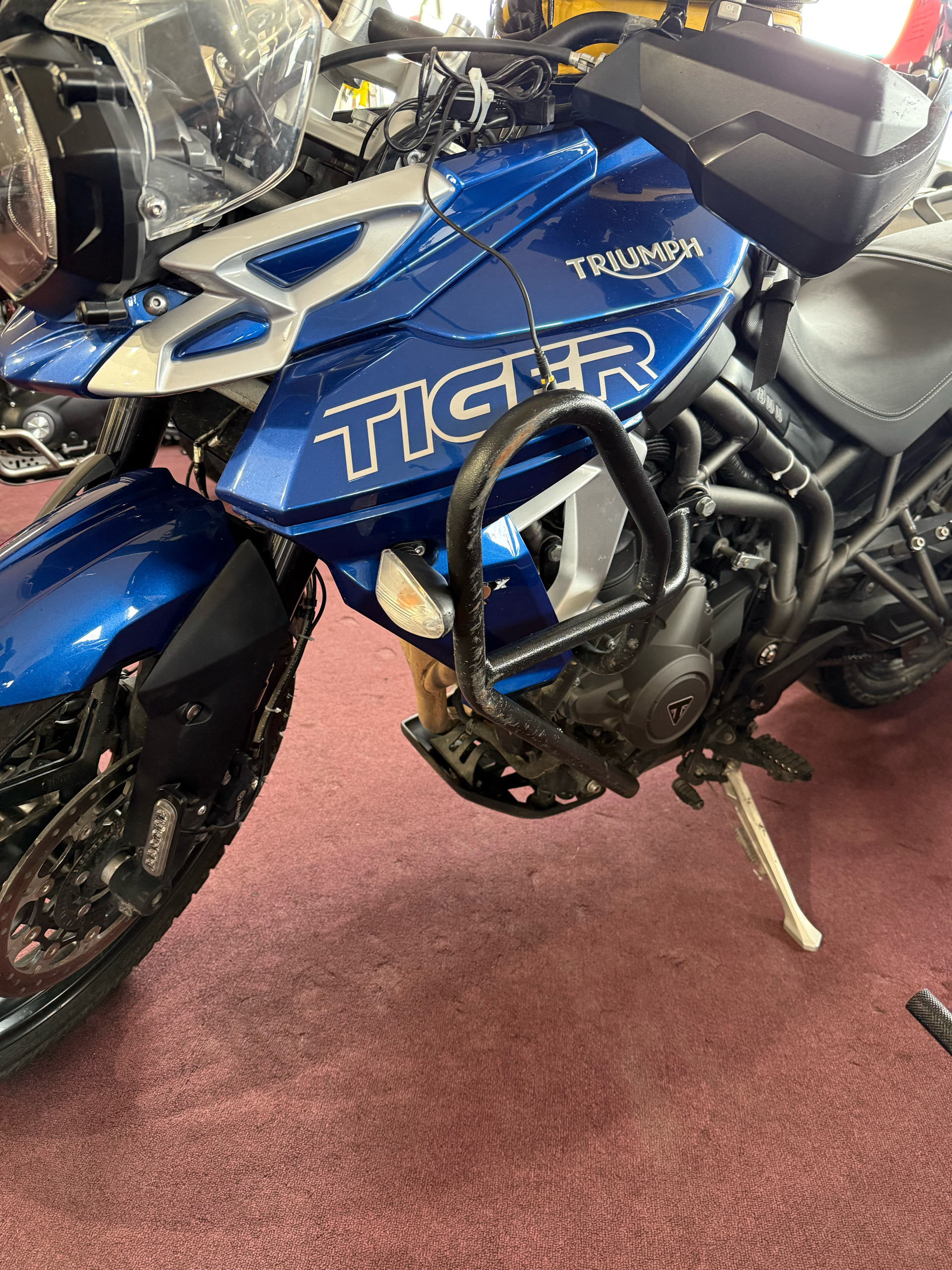 2019 Triumph Tiger 800 XRx Low in Belle Plaine, Minnesota - Photo 4
