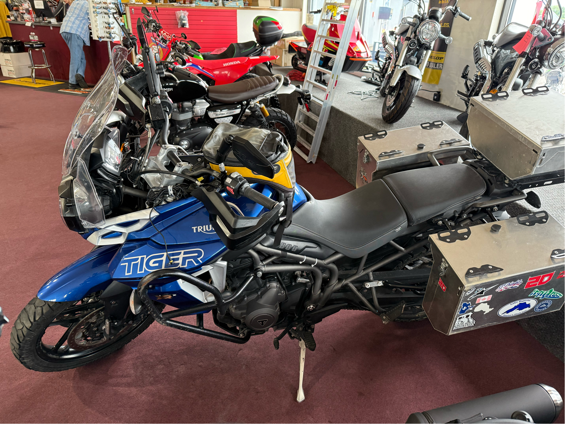 2019 Triumph Tiger 800 XRx Low in Belle Plaine, Minnesota - Photo 8