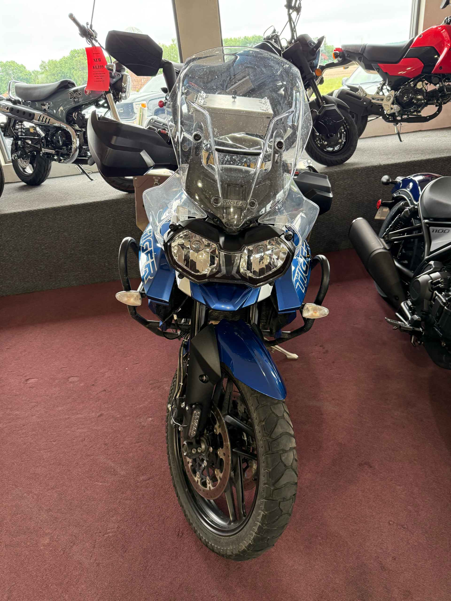 2019 Triumph Tiger 800 XRx Low in Belle Plaine, Minnesota - Photo 9