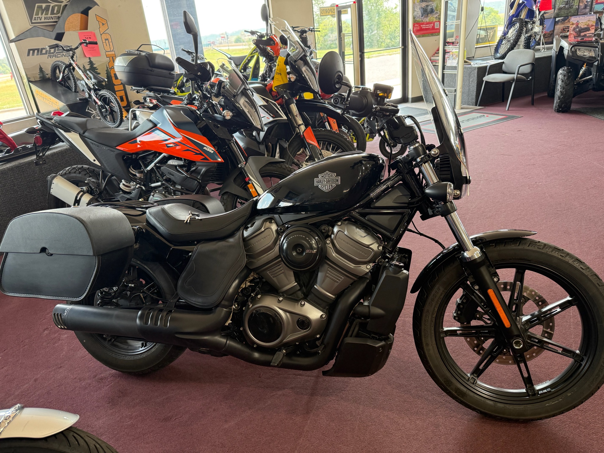 2023 Harley-Davidson Nightster® for sale 1227123