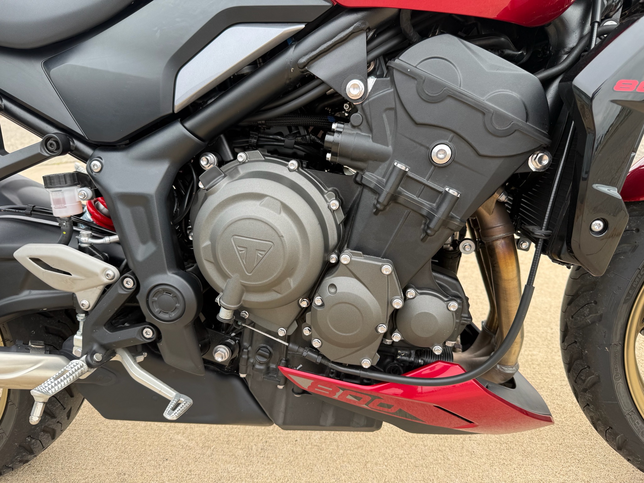 2026 Triumph Trident 800 3