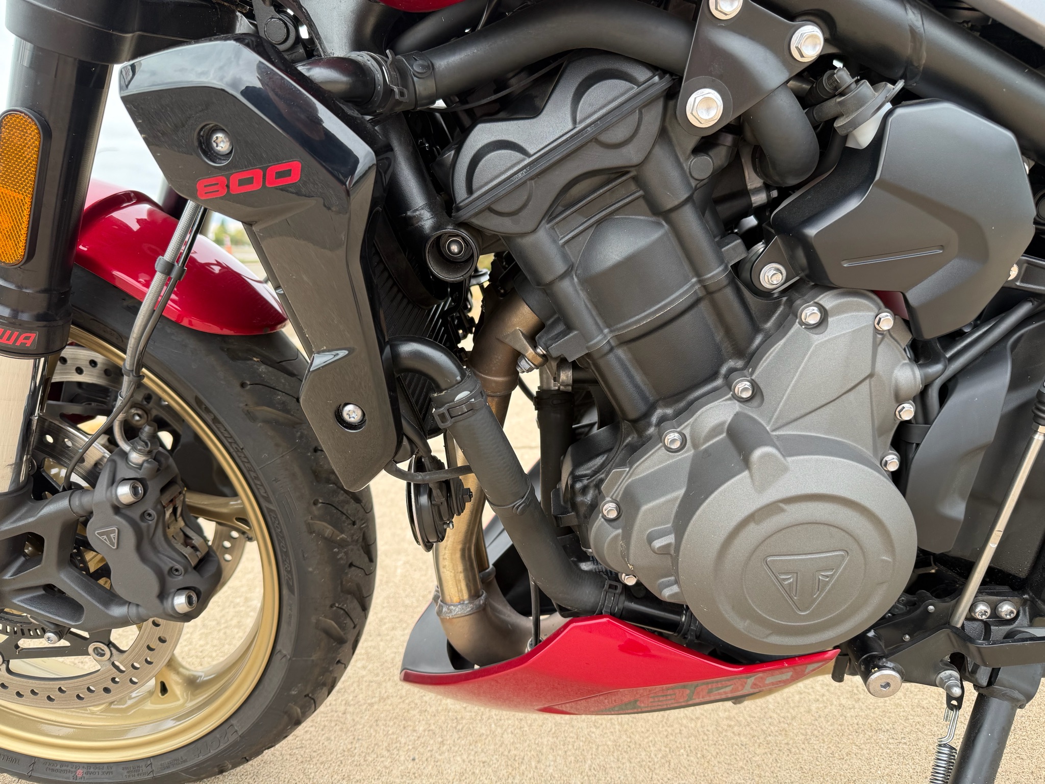 2026 Triumph Trident 800 10