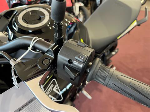 2025 Triumph Tiger Sport 800 in Belle Plaine, Minnesota - Photo 6