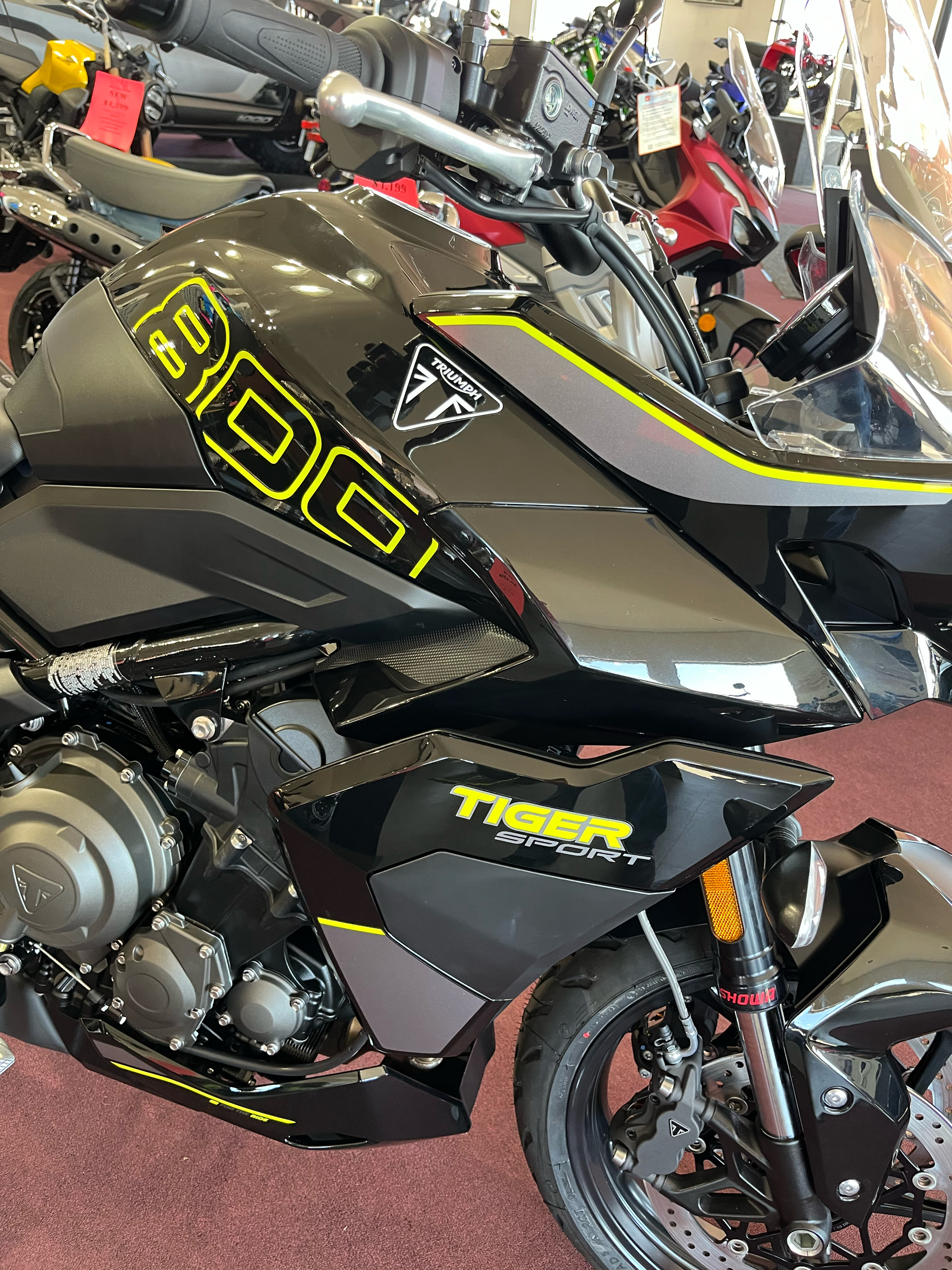 2025 Triumph Tiger Sport 800 in Belle Plaine, Minnesota - Photo 12