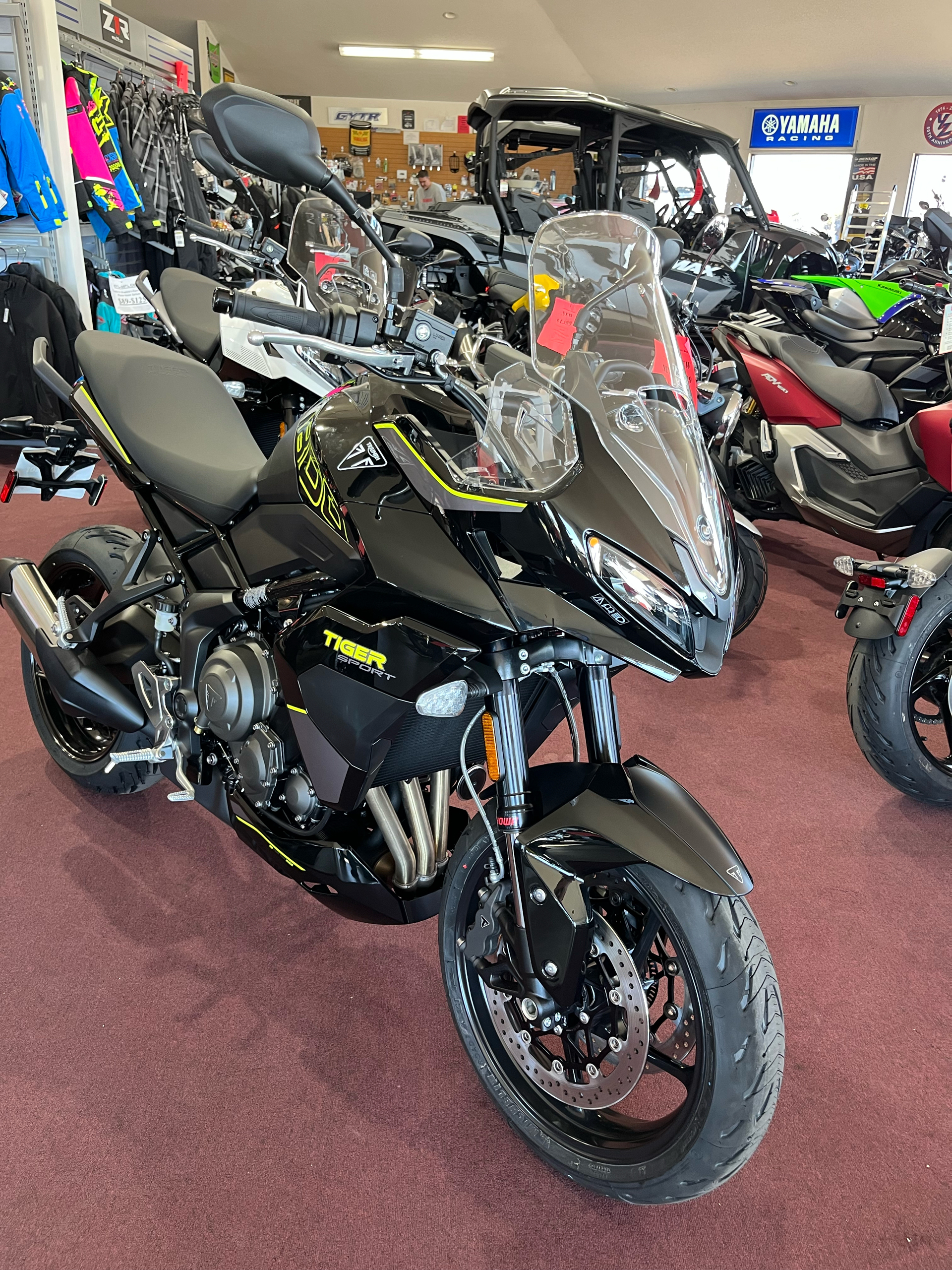 2025 Triumph Tiger Sport 800 in Belle Plaine, Minnesota - Photo 13