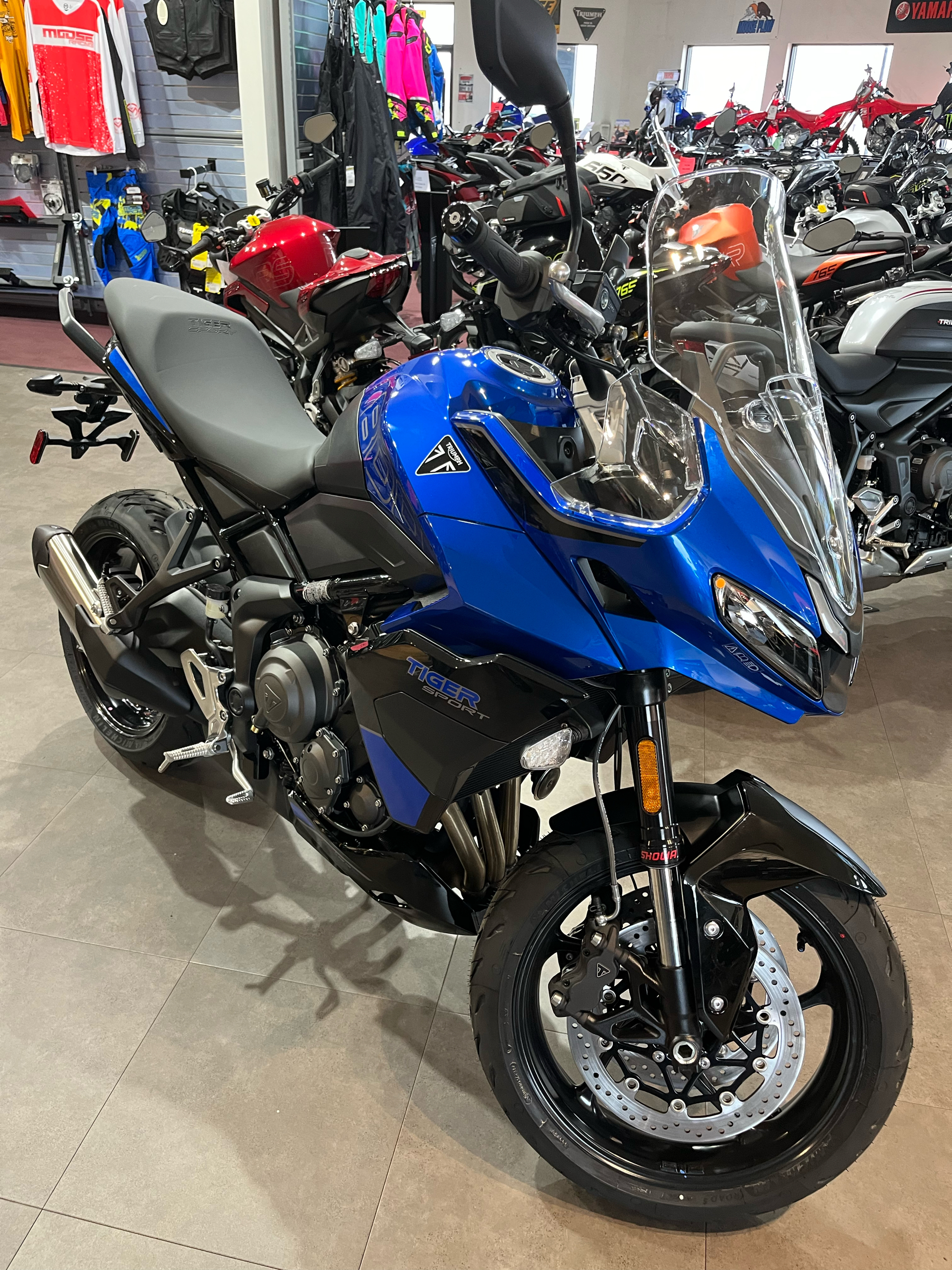 2025 Triumph Tiger Sport 800 in Belle Plaine, Minnesota - Photo 3