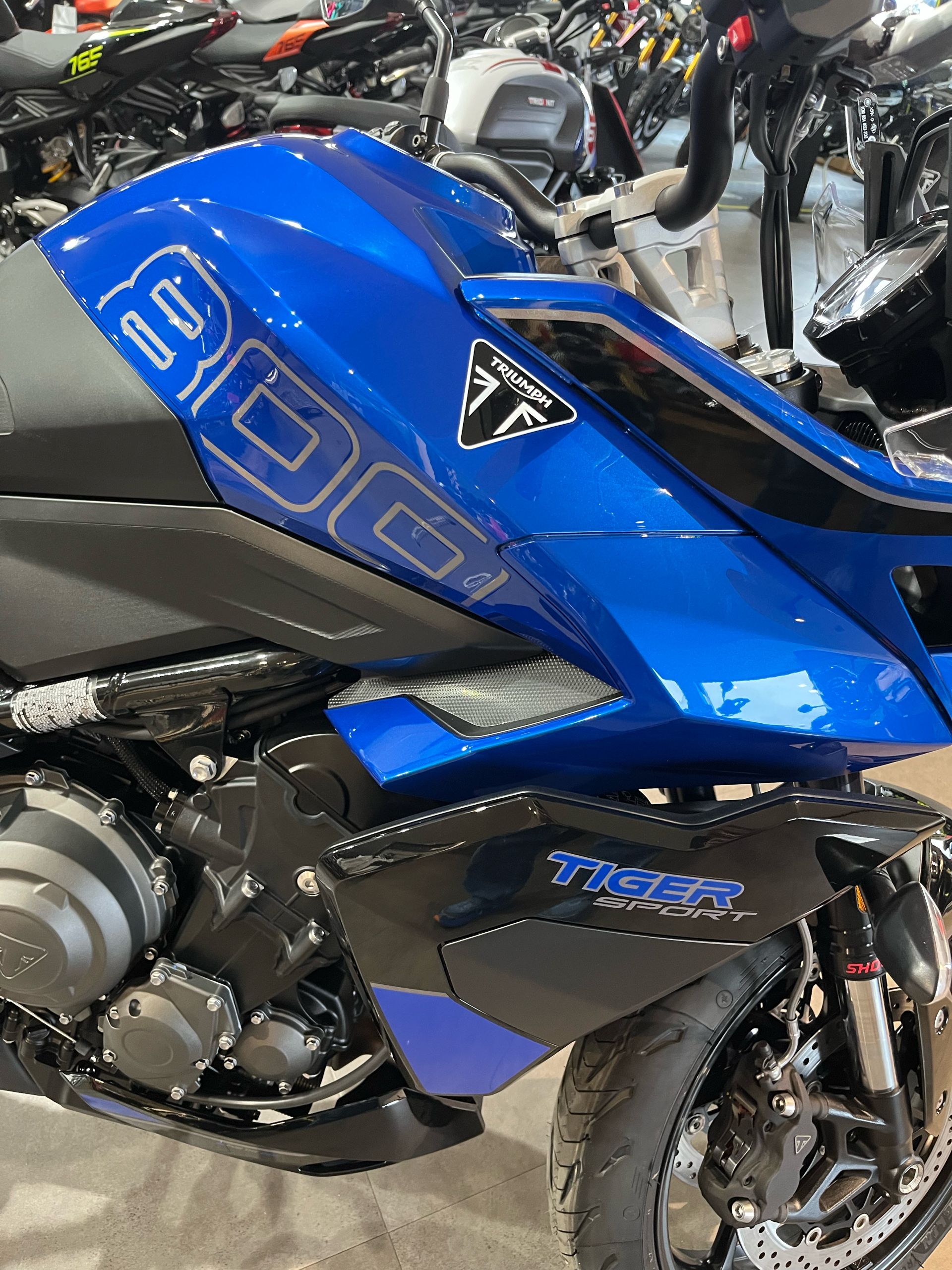 2025 Triumph Tiger Sport 800 in Belle Plaine, Minnesota - Photo 11