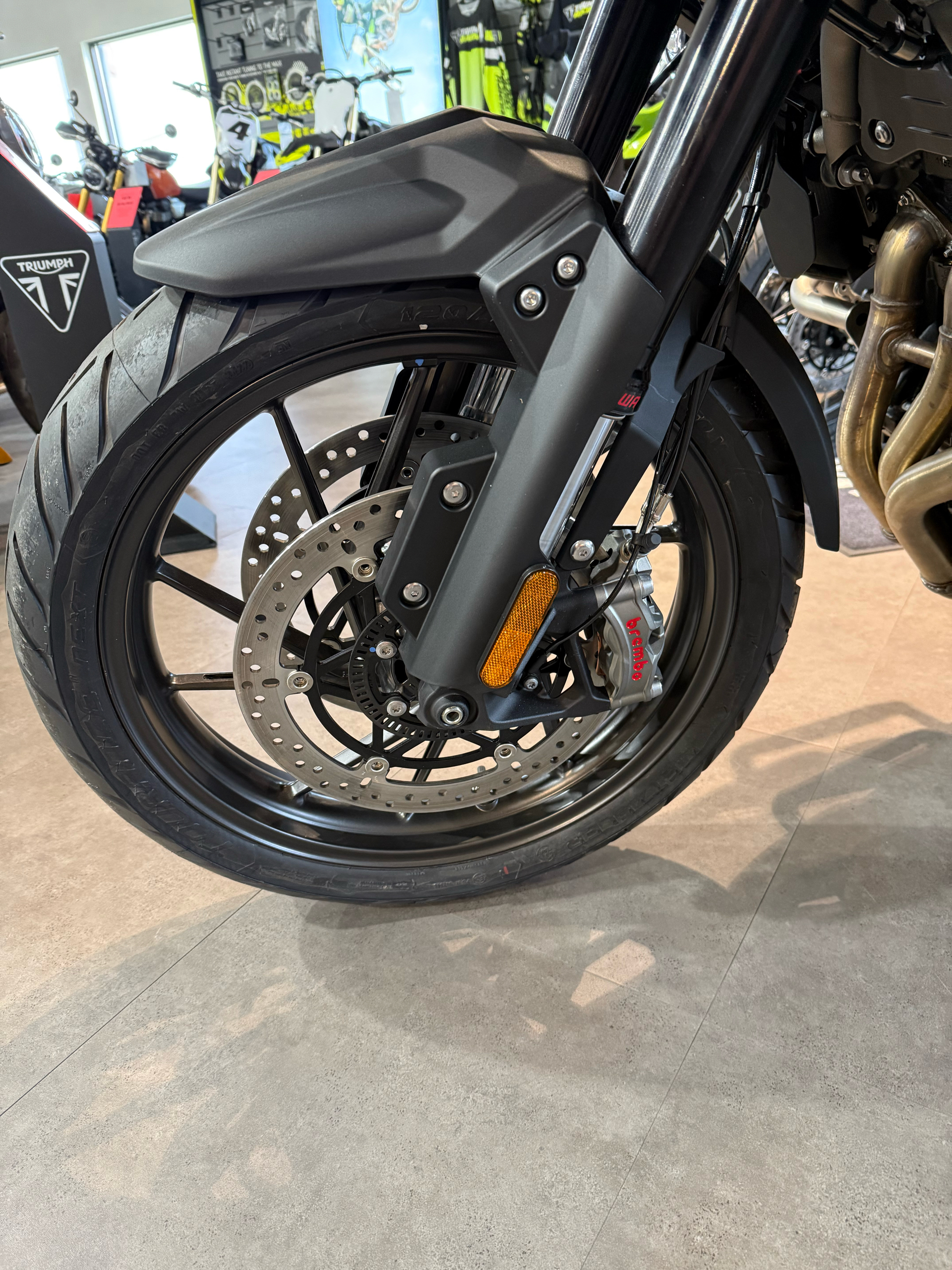 2024 Triumph Tiger 1200 GT Explorer in Belle Plaine, Minnesota - Photo 3