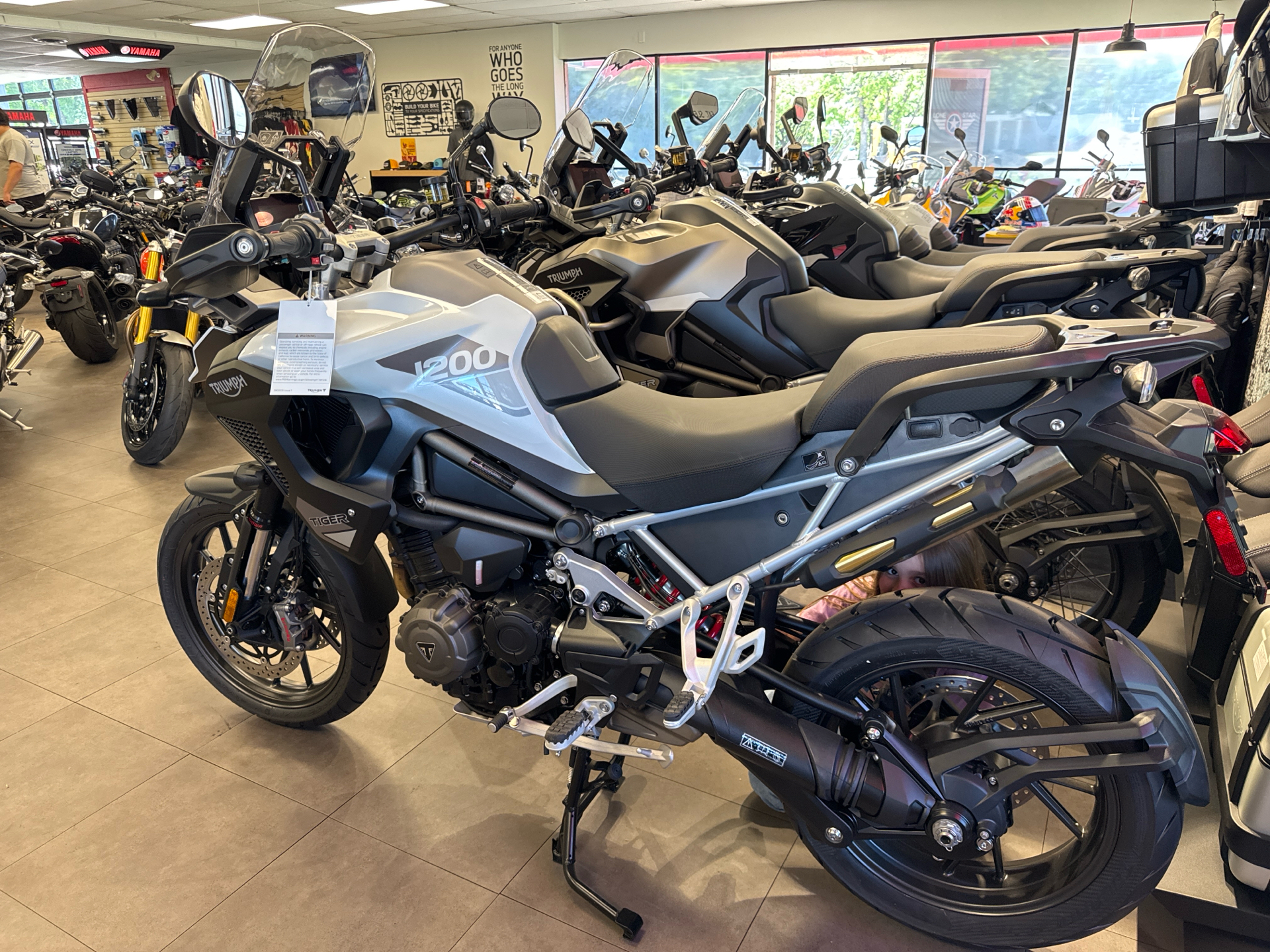 New 2025 Triumph Tiger 1200 GT Pro, Burleson TX Specs, Price