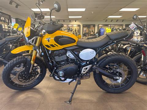 Triumph For Sale: Inventory at Lone Star Yamaha Burleson, Burleson TX