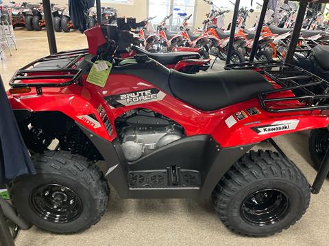 2026 Kawasaki Brute Force 300