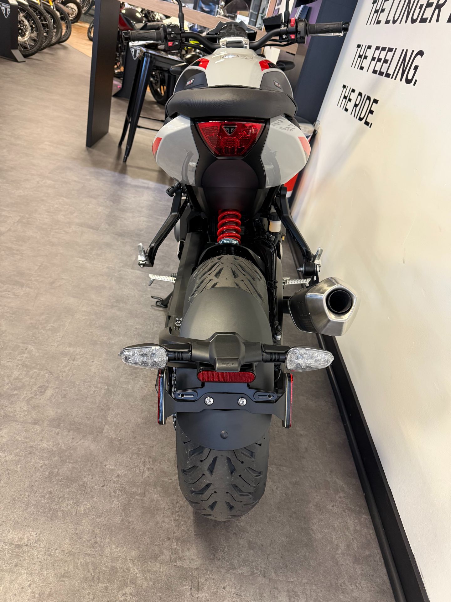 2026 Triumph Trident 800 4