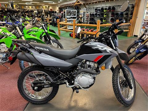 2025 Honda XR150L Motorcycles Petersburg West Virginia
