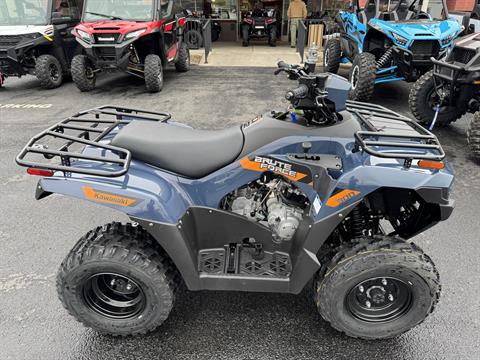 2026 Kawasaki Brute Force 300 — photo 1 of 10