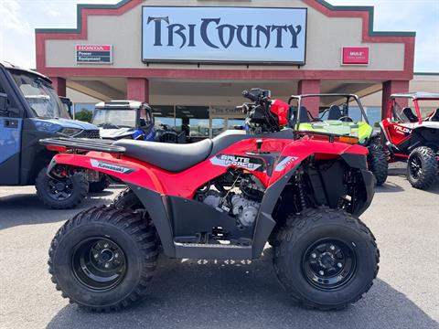 2026 Kawasaki Brute Force 300 — photo 1 of 7