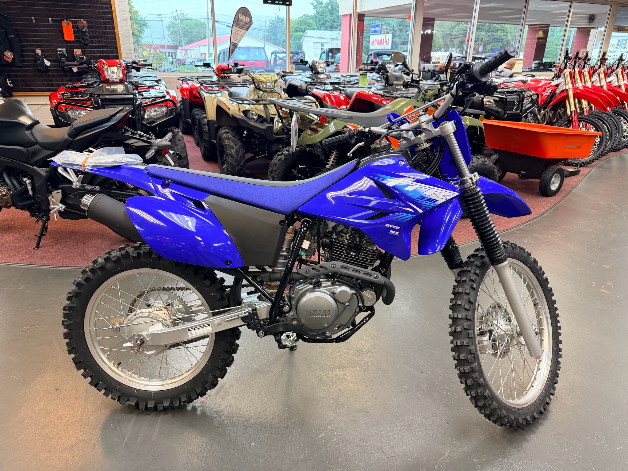2027 Yamaha TT-R230 for sale 1281219