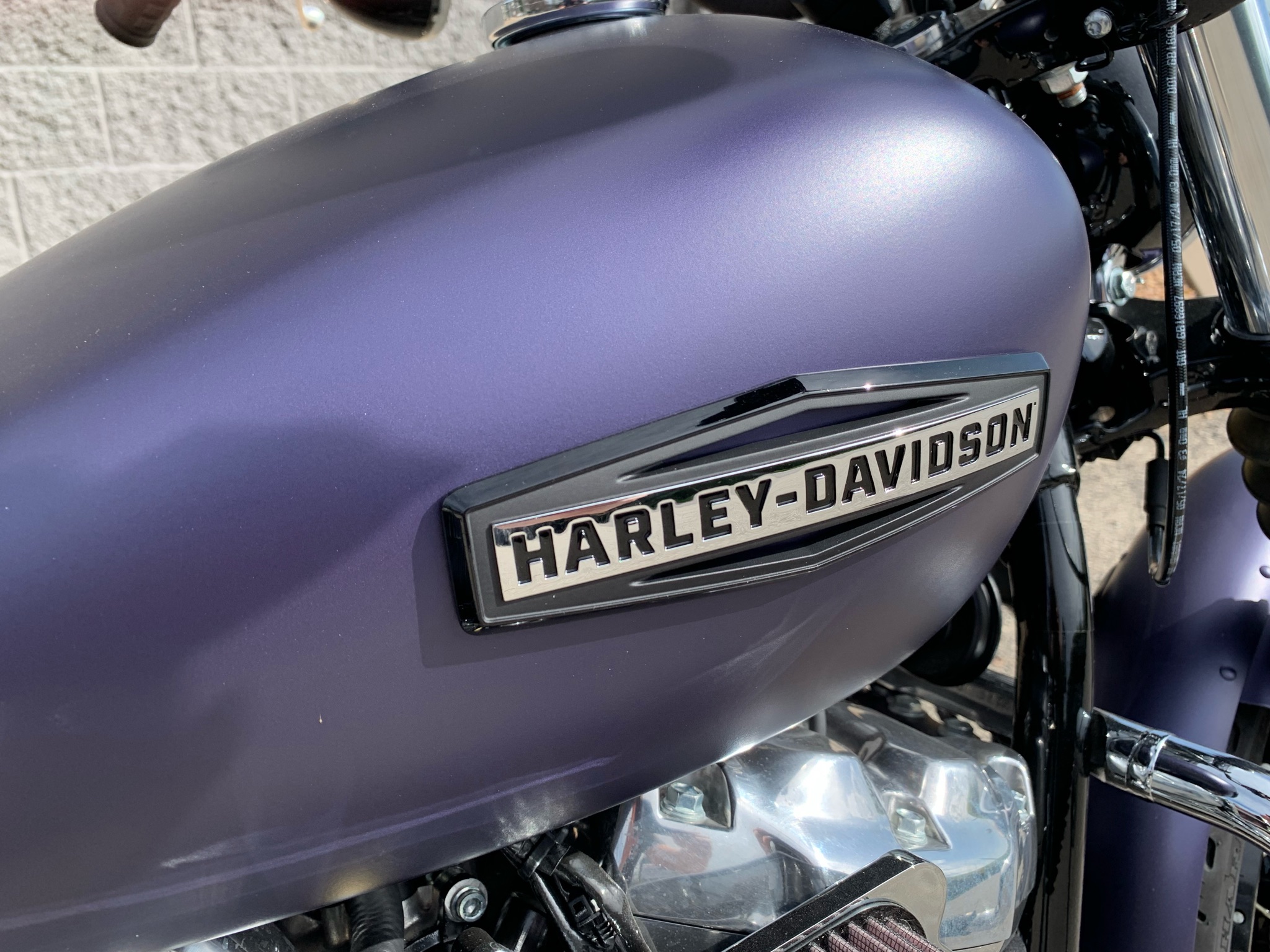 2025 Harley-Davidson Street Bob® 2