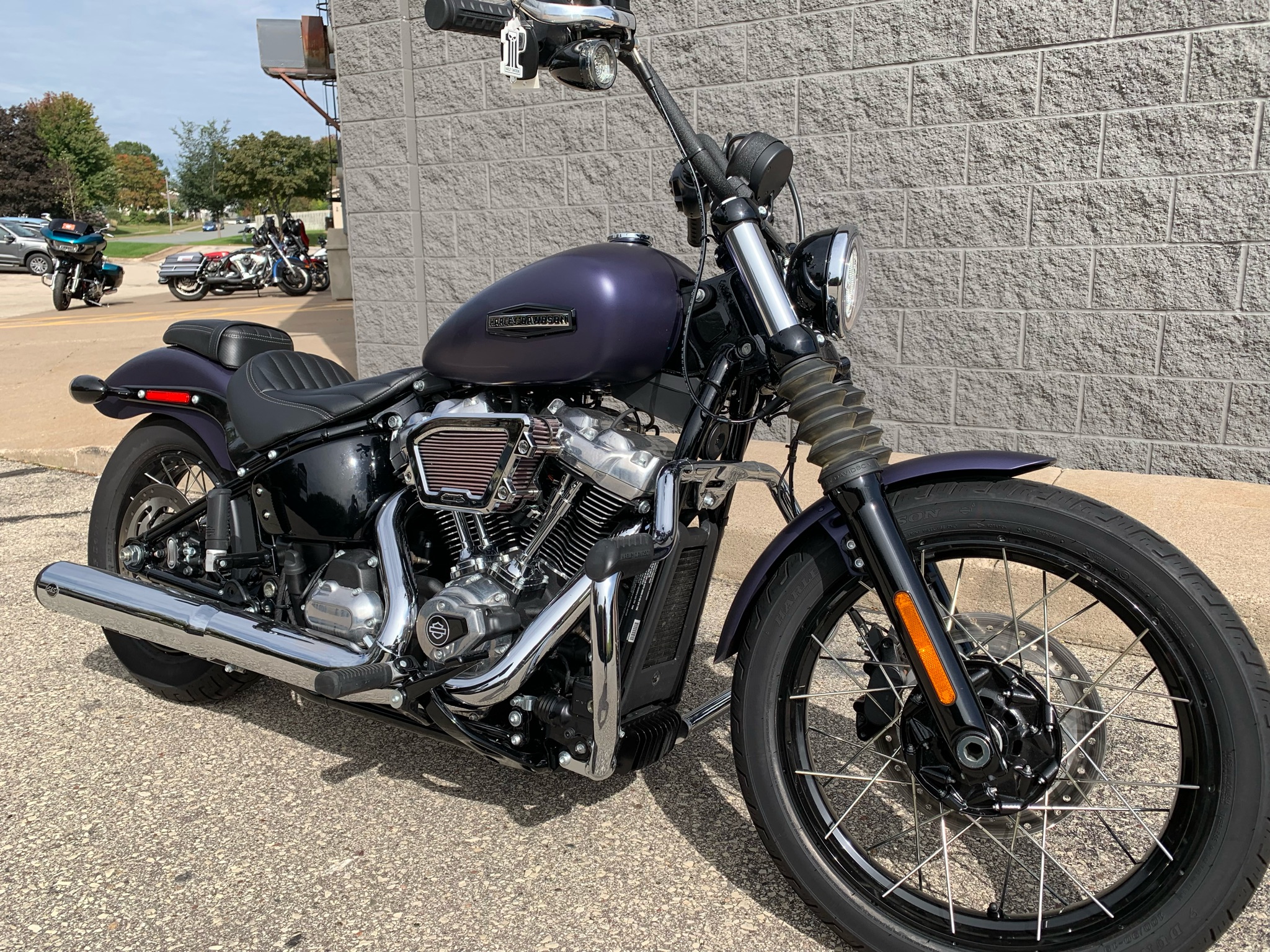 2025 Harley-Davidson Street Bob® 5