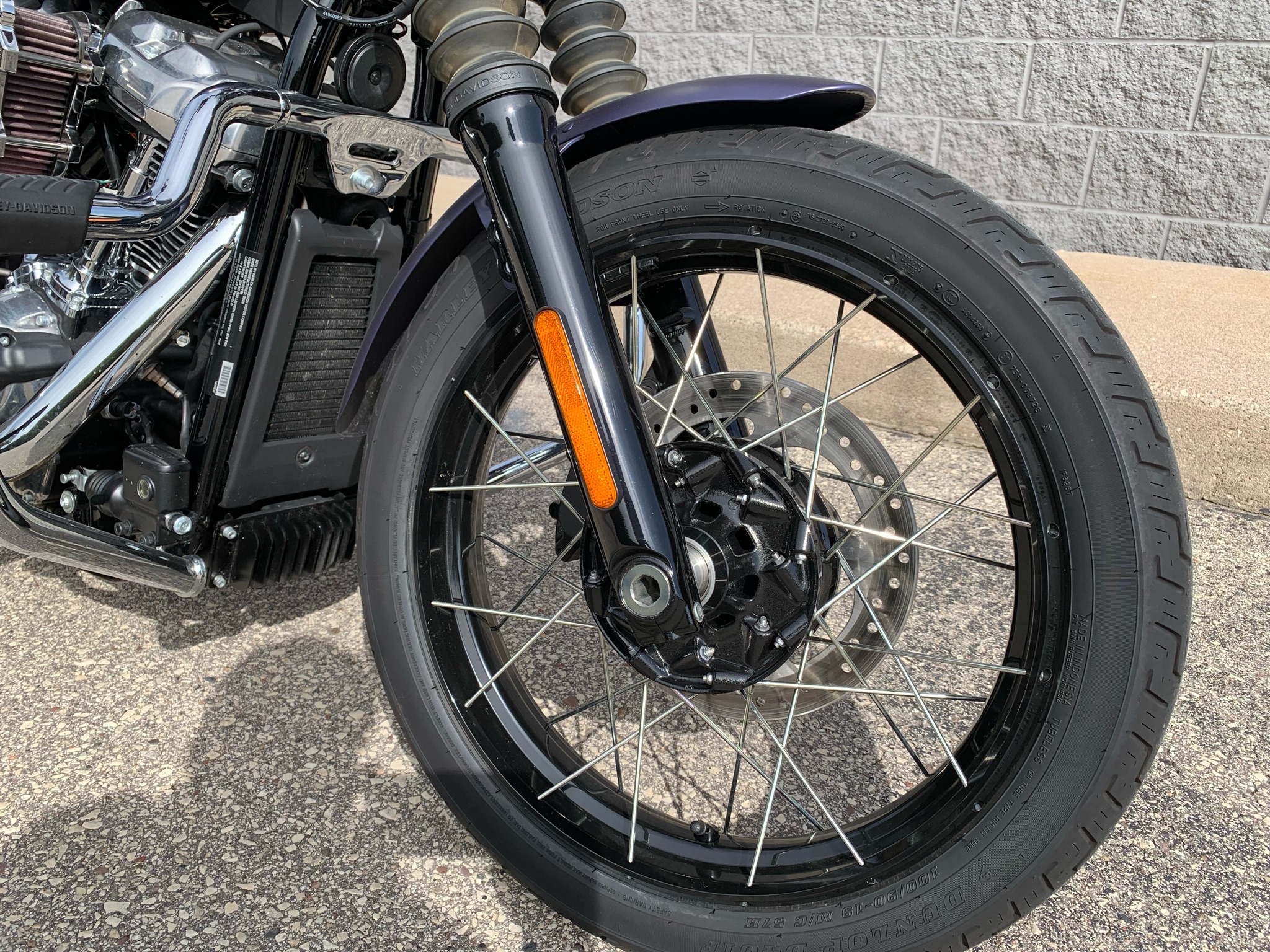 2025 Harley-Davidson Street Bob® 8